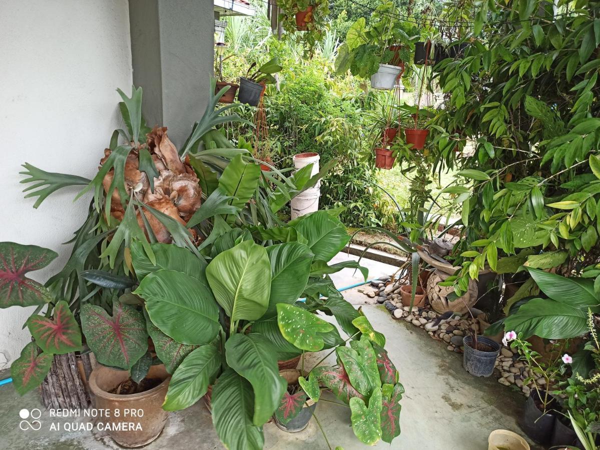 Bdr Bukit Tinggi Klang Tropicana Garden Homestay Exterior foto